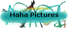 Haha Pictures