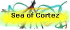 Sea of Cortez