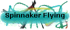 Spinnaker Flying