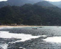 yelapa23.jpg (48715 bytes)